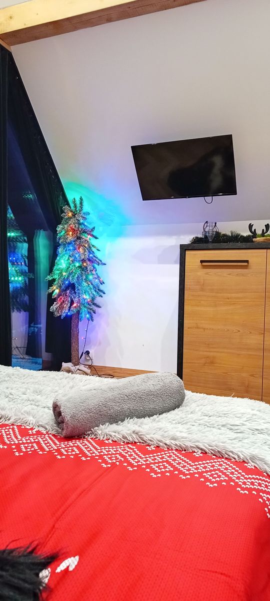 Zdjęcie z galerii
