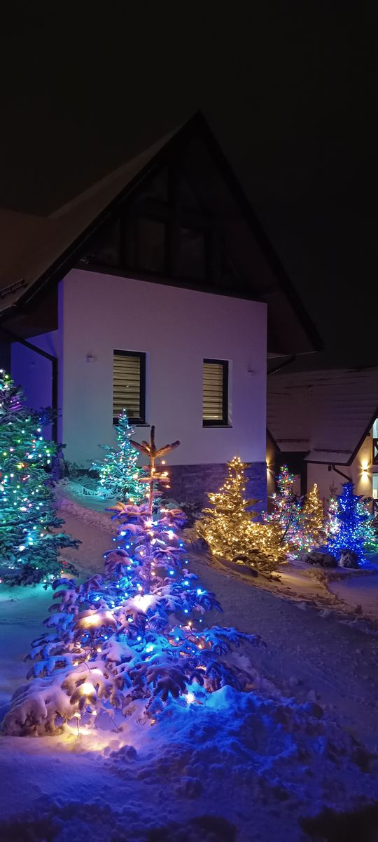 Zdjęcie z galerii