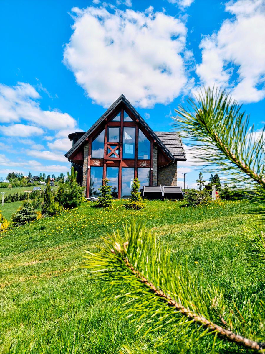 Zdjęcie z galerii
